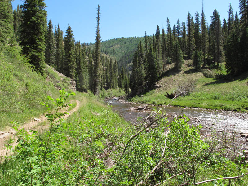 hermosa creek trail north