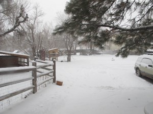 Snow in Durango Colorado Town